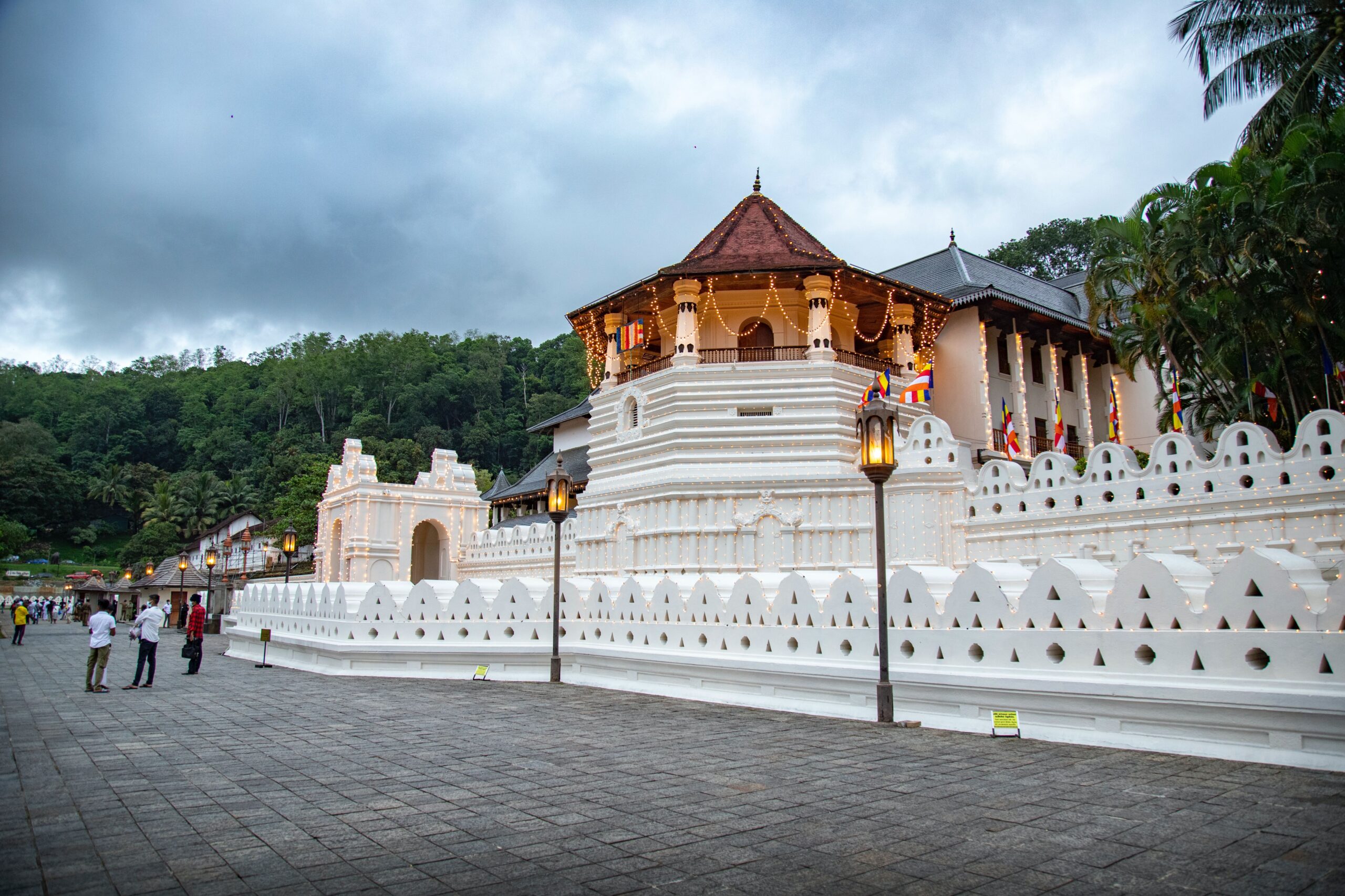 safetourssrilanka4-scaled.jpg
