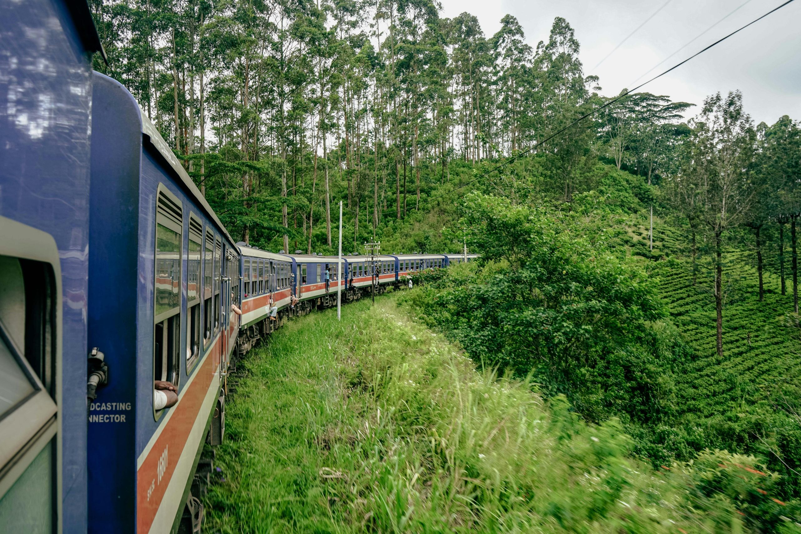 safetourssrilanka8