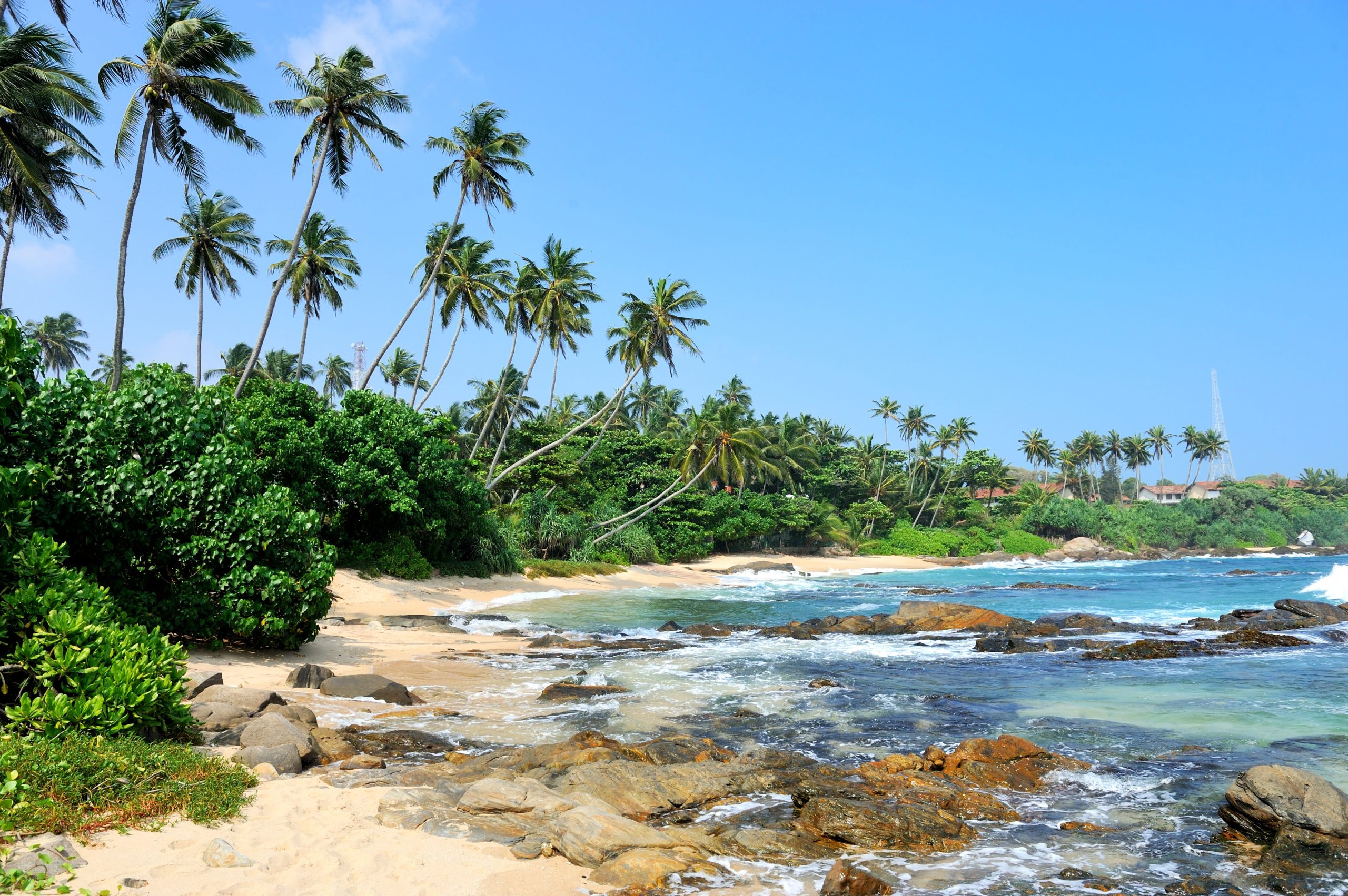 tropical-beach-with-palm-sri-lanka-2